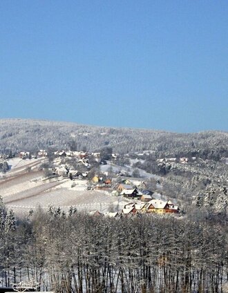 Winter Panorama auf die Weingärten des Hochgrail | Alois Rumpf | © TVB/Südsteiermark/Alois Rumpf