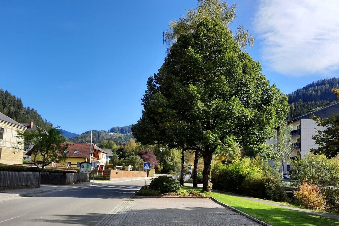 Wanderung Nordpanoramarunde Kleinlobming - Touren-Impression #1 | © WEGES OG