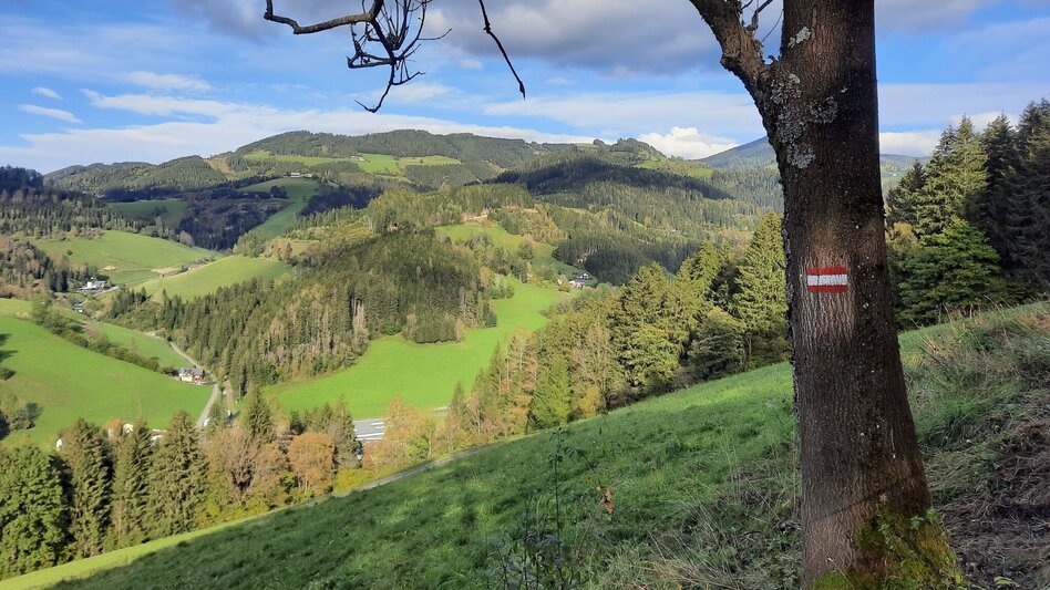 Wanderung Nordpanoramarunde Kleinlobming - Touren-Impression #2.3 | © WEGES OG