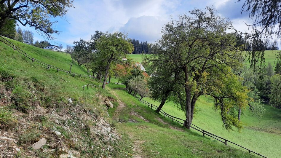 Wanderung Nordpanoramarunde Kleinlobming - Touren-Impression #2.5 | © WEGES OG