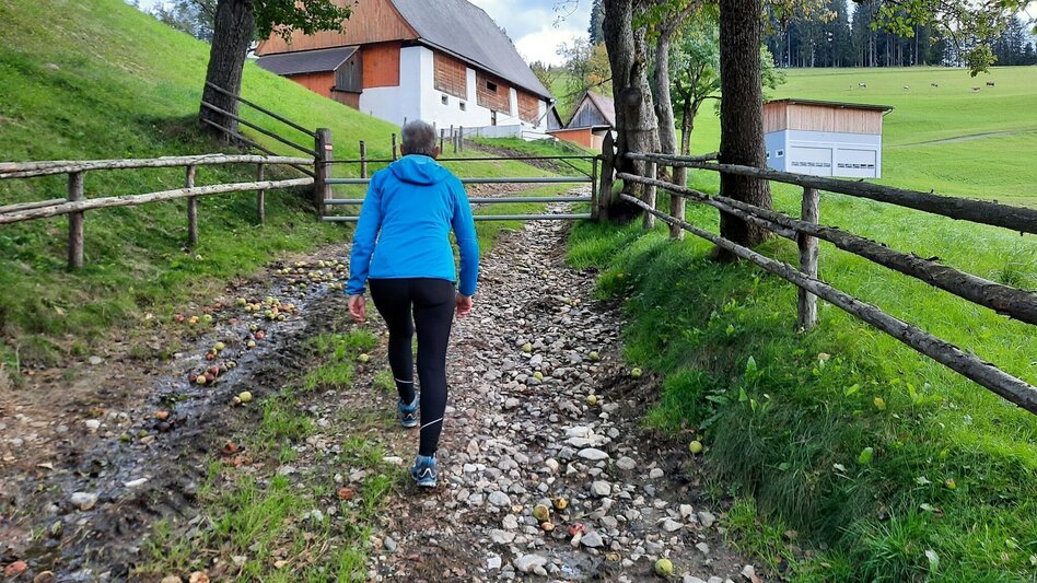 Wanderung Nordpanoramarunde Kleinlobming - Touren-Impression #2.6 | © WEGES OG