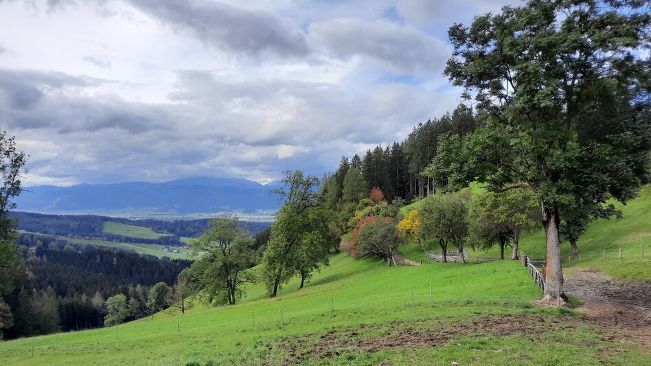 Wanderung Nordpanoramarunde Kleinlobming - Touren-Impression #2.7 | © WEGES OG