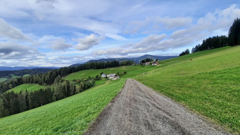 Wanderung Nordpanoramarunde Kleinlobming - Touren-Impression #2.8 | © WEGES OG