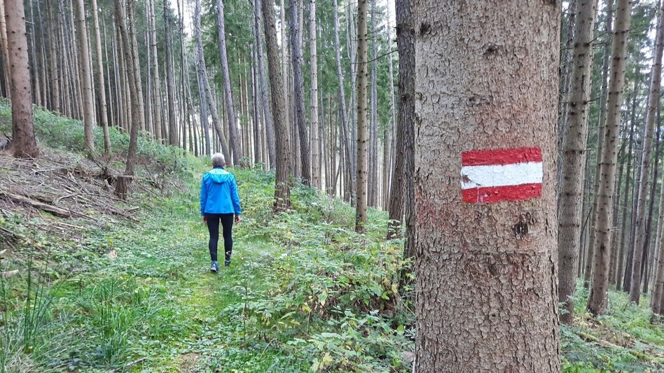 Wanderung Nordpanoramarunde Kleinlobming - Touren-Impression #2.9 | © WEGES OG