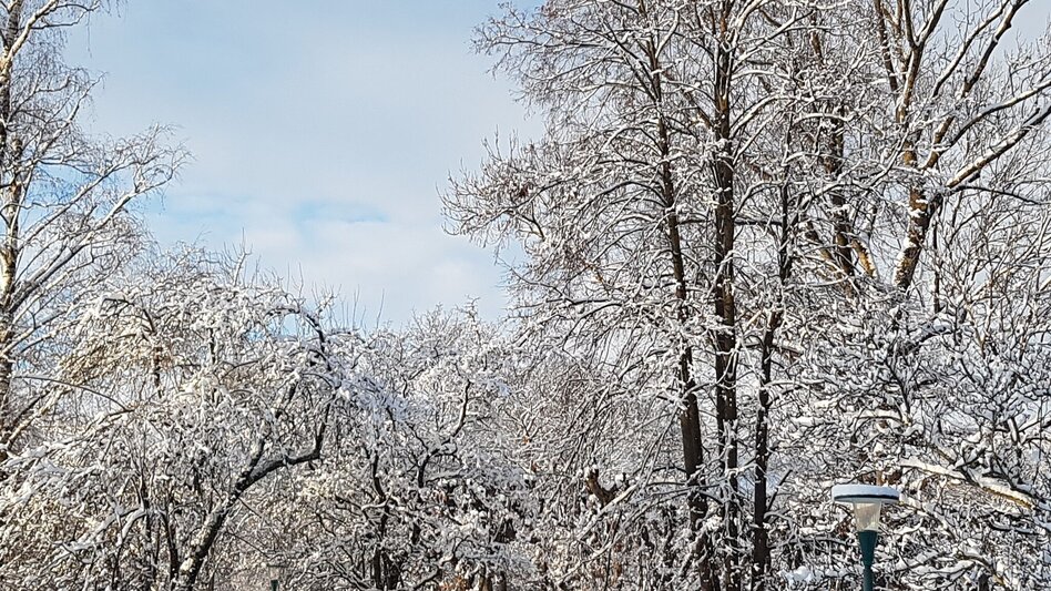 Winter Hiking Winter hiking Pöllau , Muhr Pöllauberg - Touren-Impression #2.5 | © Oststeiermark Tourismus