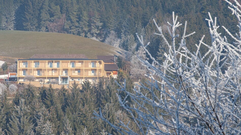 Winter Hiking Winter hiking Pöllau , Muhr Pöllauberg - Touren-Impression #2.1 | © Oststeiermark Tourismus