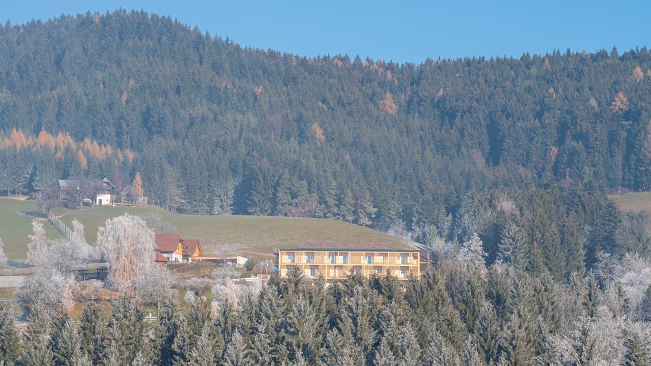 Winter Hiking Winter hiking Pöllau , Muhr Pöllauberg - Touren-Impression #2.6 | © Oststeiermark Tourismus