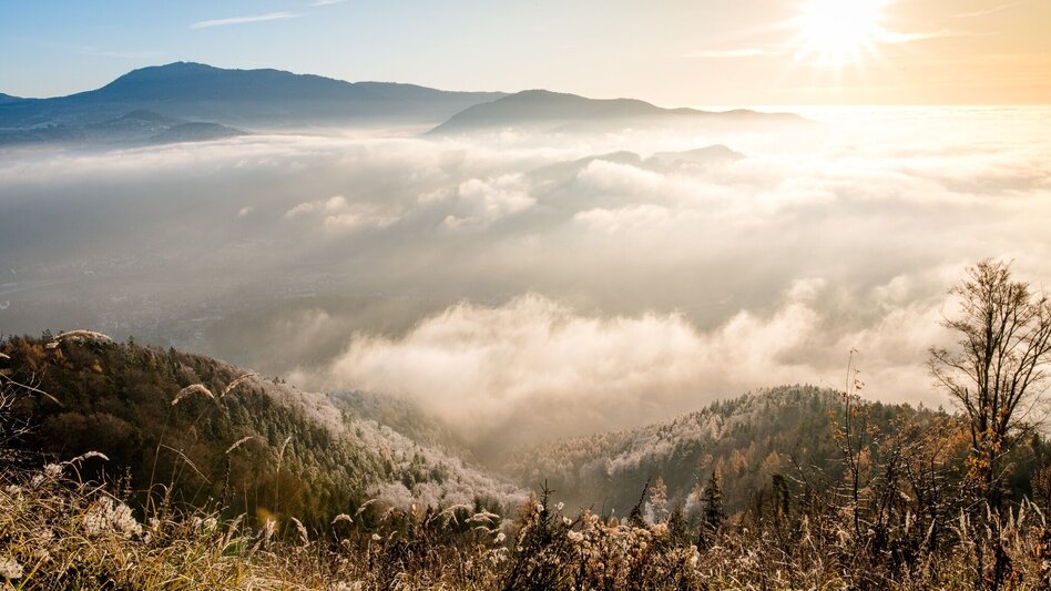 Hiking route Sonnenreiche Bergpanoramatour - Touren-Impression #2.2 | © Region Graz