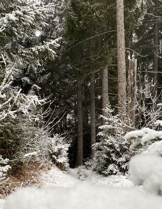 Ein paar Zentimeter reichen schon für winterliche Stimmung. | Christoph Lukas | © Tourismusverband Grimming-Donnersbachtal