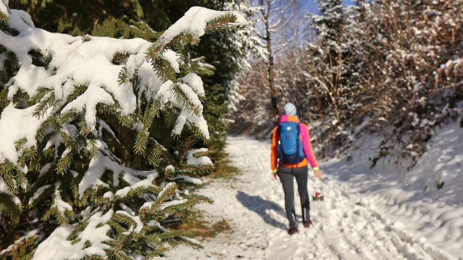 Winter Hiking Winter hike at Gleinberg - Touren-Impression #2.5 | © Weges OG