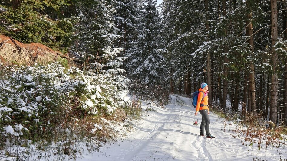 Winter Hiking Winter hike at Gleinberg - Touren-Impression #2.8 | © Weges OG