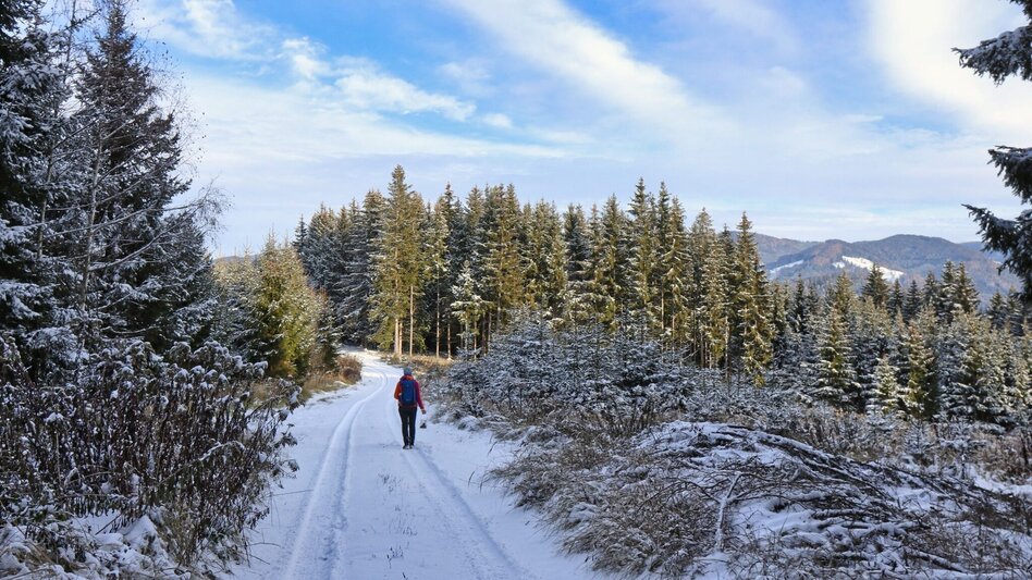 Winter Hiking Winter hike at Gleinberg - Touren-Impression #2.10 | © Weges OG