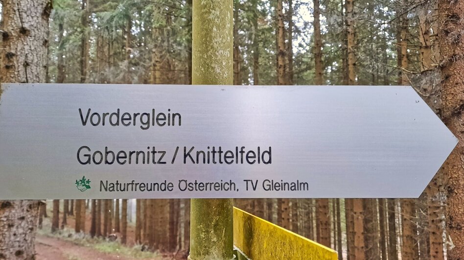 Winter Hiking Winter hike at Gleinberg - Touren-Impression #2.11 | © Weges OG