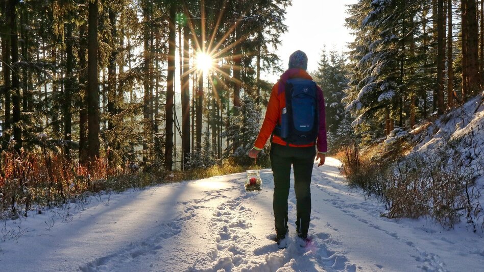 Winter Hiking Winter hike at Gleinberg - Touren-Impression #2.1 | © Weges OG