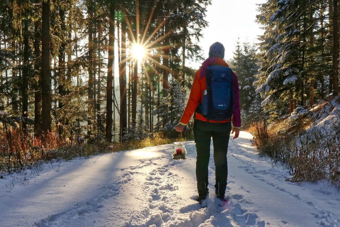 Winter Hiking Winter hike at Gleinberg - Touren-Impression #1 | © Weges OG