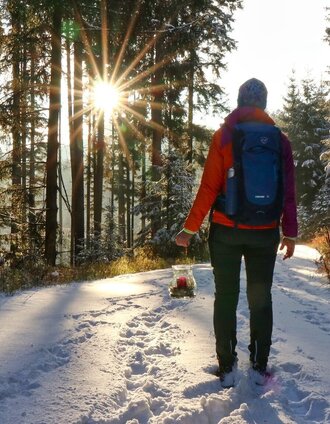 Im Wald | Weges OG | © Weges OG