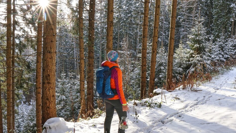 Winter Hiking Winter hike at Gleinberg - Touren-Impression #2.16 | © Weges OG