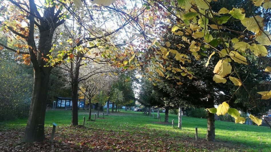 Hiking route Teichpark Lannach im Winter - Touren-Impression #2.1 | © TVB Südsteiermark/Irene Löschnig