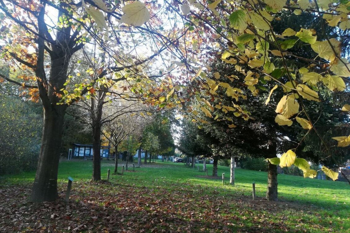 Hiking route Teichpark Lannach im Winter - Touren-Impression #1 | © TVB Südsteiermark/Irene Löschnig