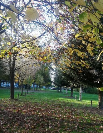 Lannach Waldlehrpfad.jpg | Irene Löschnig | © TVB Südsteiermark/Irene Löschnig