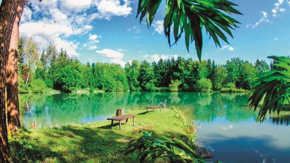 Hiking route Teichpark Lannach im Winter - Touren-Impression #2.2 | © TVB Südsteiermark/Petru Rimovetz