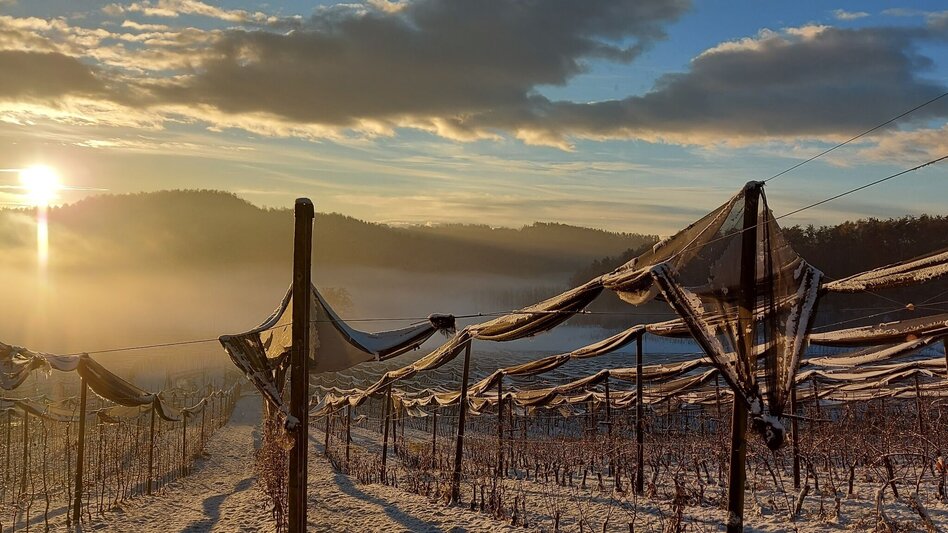 Winter Hiking 7 places 7 treasures winter hike - Touren-Impression #2.5 | © (c) Martina Steininger