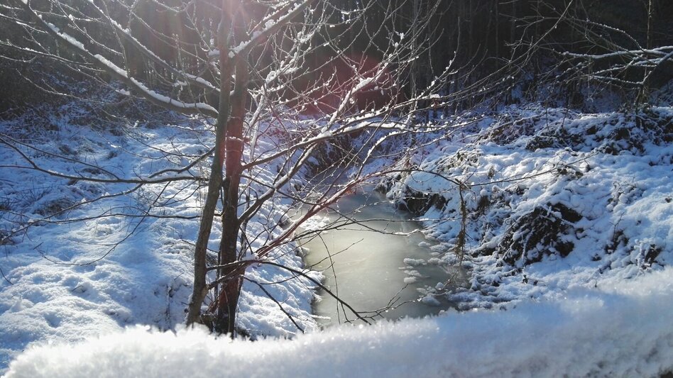 Winter Hiking 7 places 7 treasures winter hike - Touren-Impression #2.7 | © Oststeiermark Tourismus