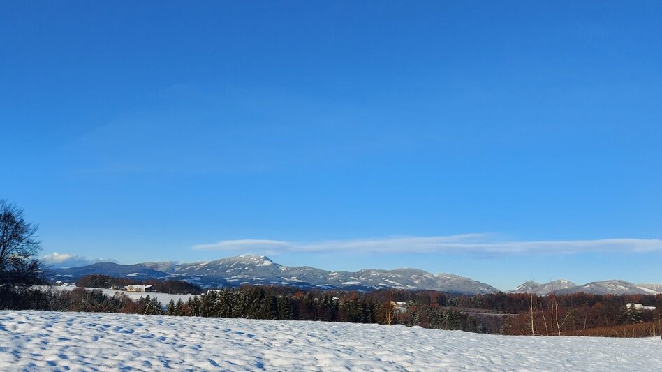 Winter Hiking 7 places 7 treasures winter hike - Touren-Impression #2.9 | © Oststeiermark Tourismus