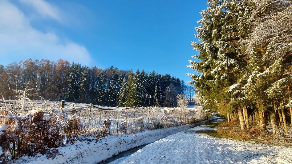 Winter Hiking 7 places 7 treasures winter hike - Touren-Impression #2.11 | © Oststeiermark Tourismus