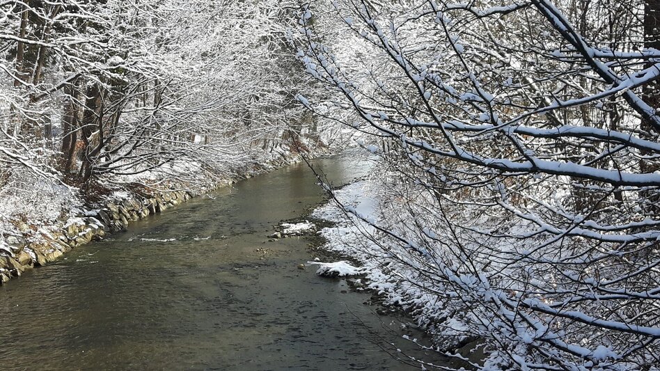 Winter Hiking 7 places 7 treasures winter hike - Touren-Impression #2.16 | © Oststeiermark Tourismus