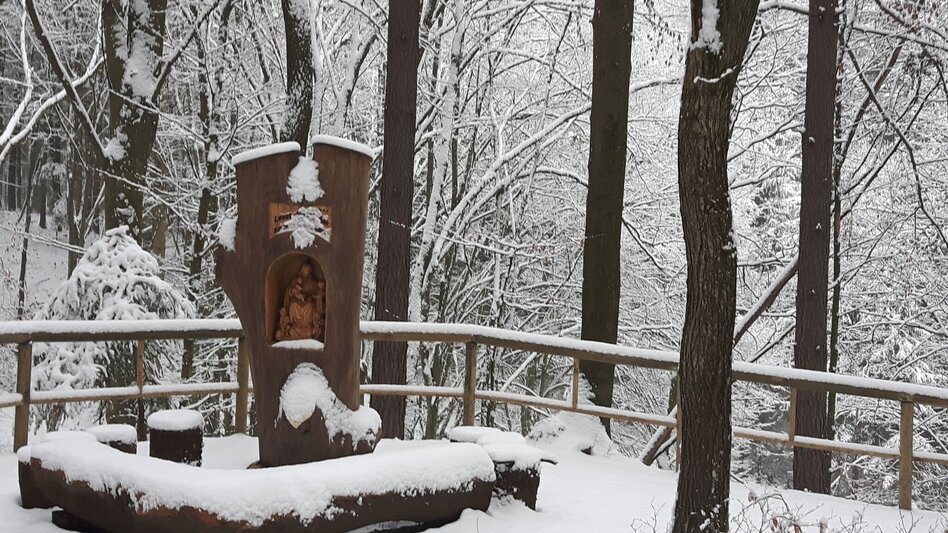 Winter Hiking 7 places 7 treasures winter hike - Touren-Impression #2.18 | © Oststeiermark Tourismus