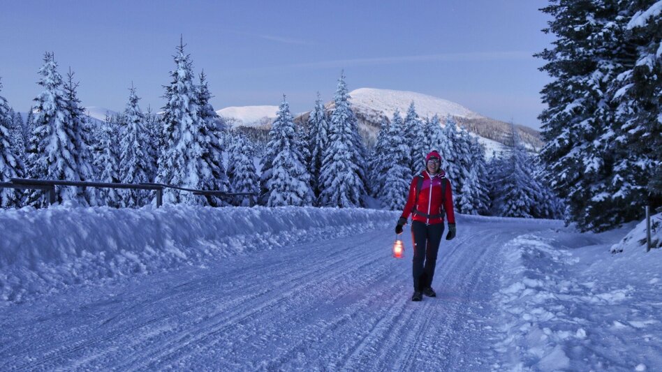 Winterwandern Winterwanderung vom Gaberl zur Steinernen Miarz - Touren-Impression #2.4 | © Weges OG