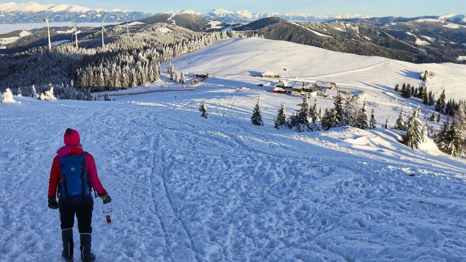 Winterwandern Winterwanderung vom Gaberl zur Steinernen Miarz - Touren-Impression #2.8 | © Weges OG