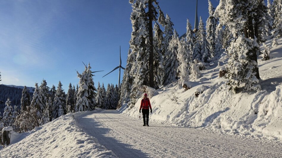Winterwandern Winterwanderung vom Gaberl zur Steinernen Miarz - Touren-Impression #2.10 | © Weges OG