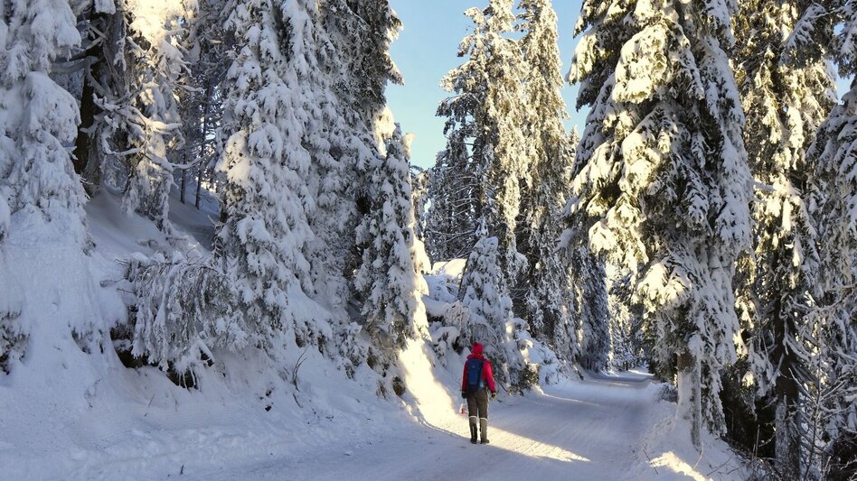 Winterwandern Winterwanderung vom Gaberl zur Steinernen Miarz - Touren-Impression #2.11 | © Weges OG