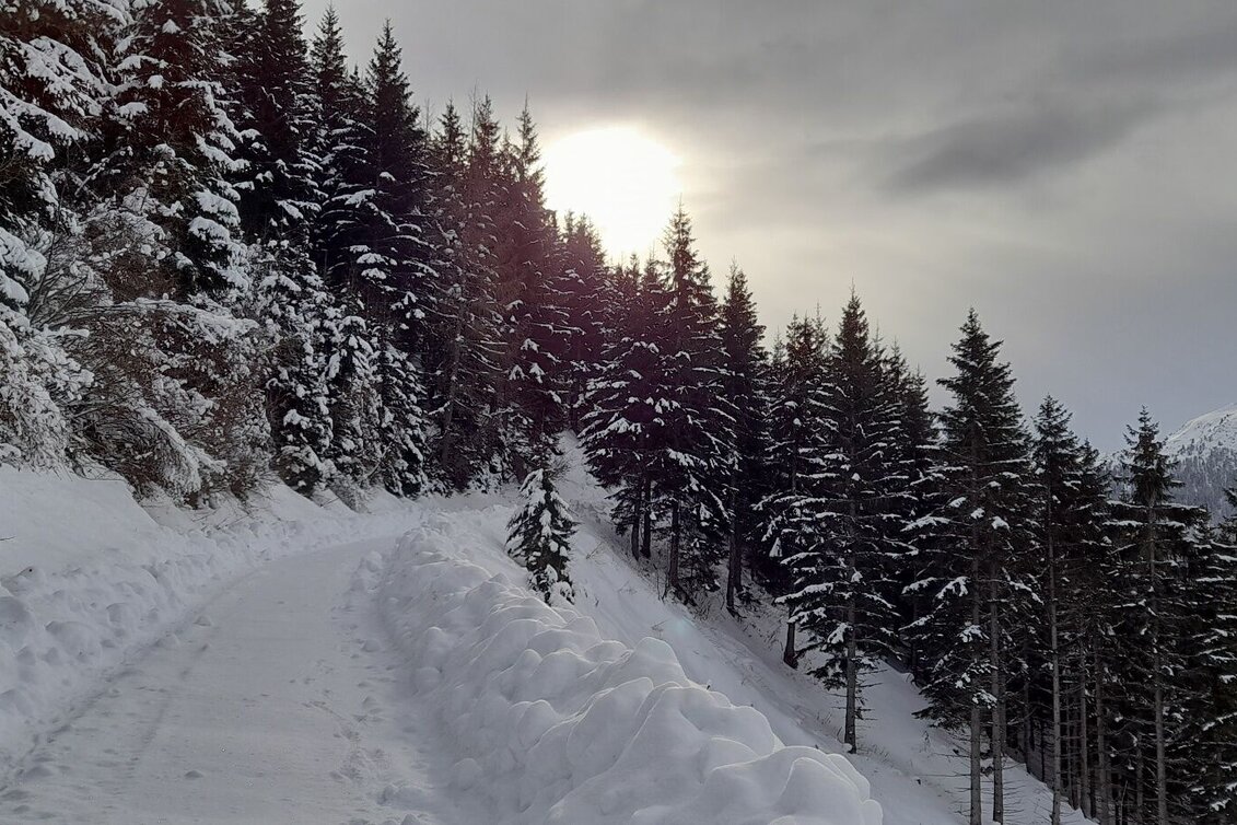 Winter Hiking Winter hike Fischeralmweg - Touren-Impression #1 | © Erlebnisregion Schladming-Dachstein