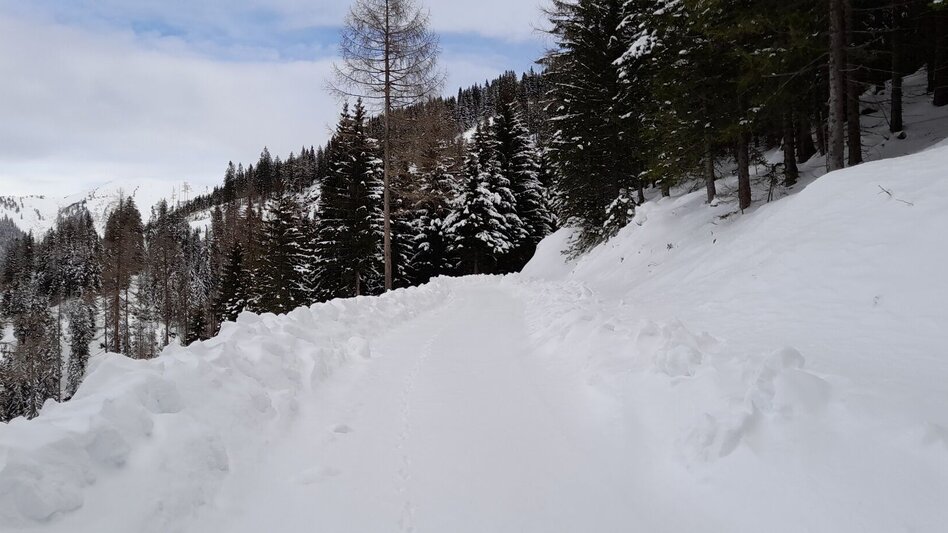 Winter Hiking Winter hike Fischeralmweg - Touren-Impression #2.4 | © Erlebnisregion Schladming-Dachstein