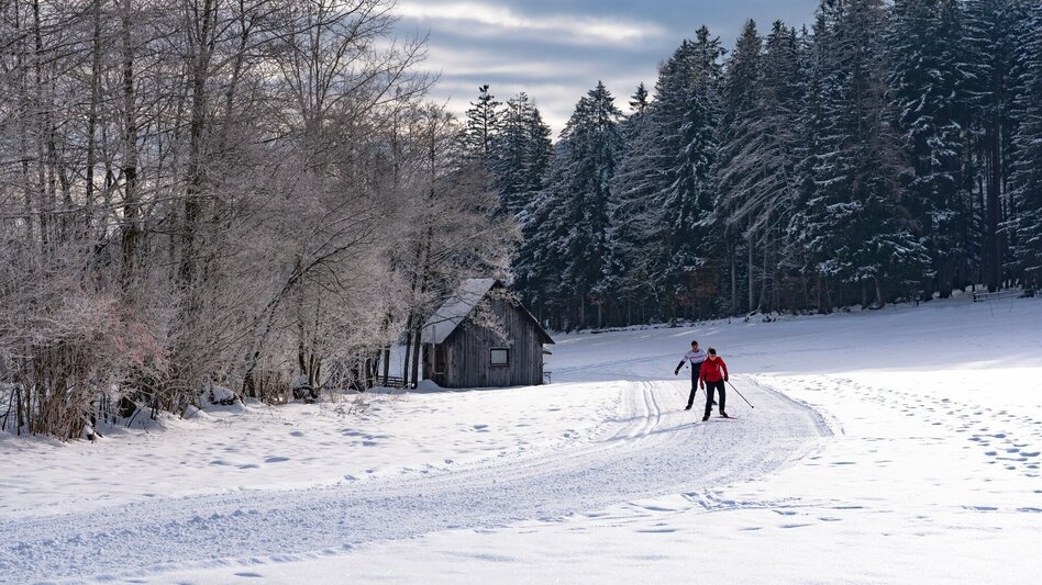 Ski-nordic-classic Cross-country ski trail Seckau - Touren-Impression #2.3 | © Erlebnisregion Murtal
