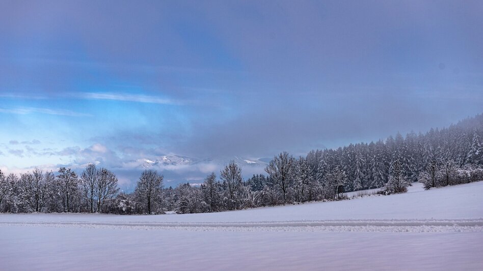 Ski-nordic-classic Cross-country ski trail Seckau - Touren-Impression #2.4 | © Erlebnisregion Murtal