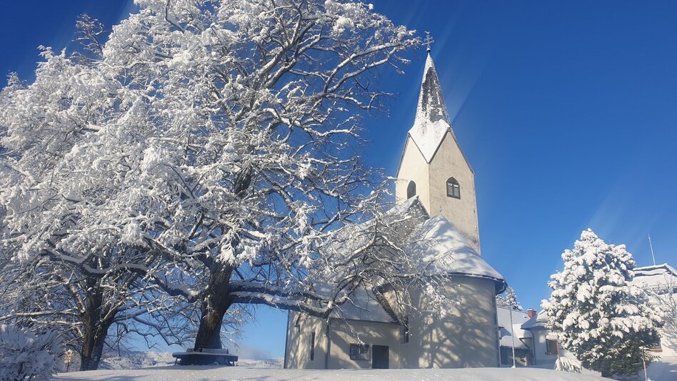 Winter Hiking Winterwanderung zwischen Schnee- und Glaskristallen - Touren-Impression #2.3 | © Hubert Koller