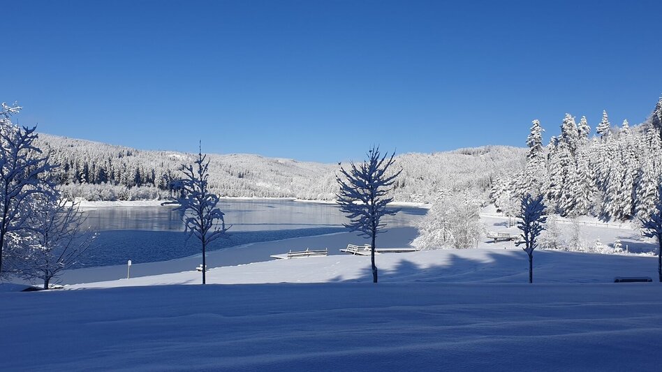 Winter Hiking Winterwanderung zwischen Schnee- und Glaskristallen - Touren-Impression #2.4 | © Hubert Koller