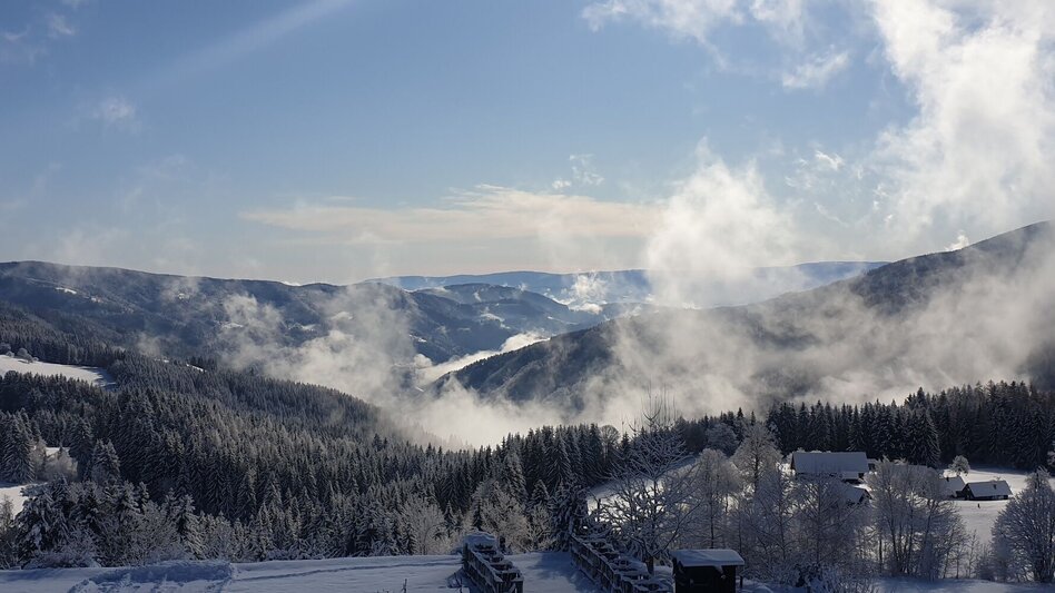 Winter Hiking Winterwanderung zwischen Schnee- und Glaskristallen - Touren-Impression #2.1 | © Hubert Koller