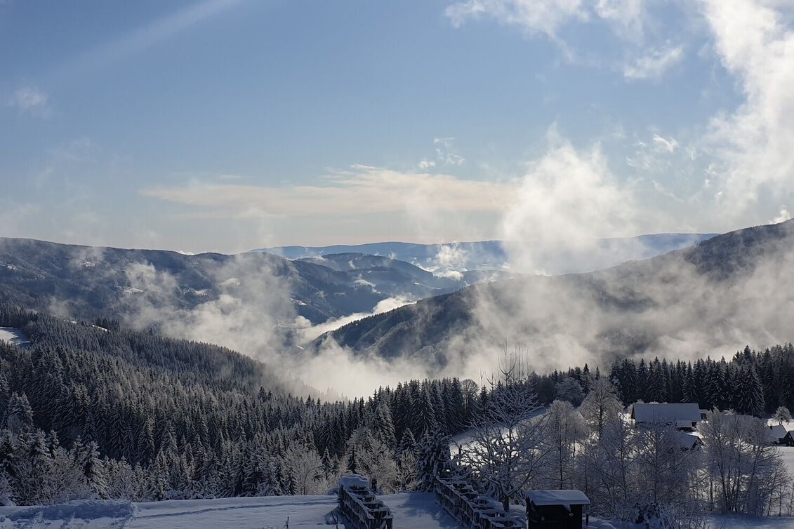Winter Hiking Winterwanderung zwischen Schnee- und Glaskristallen - Touren-Impression #1 | © Hubert Koller