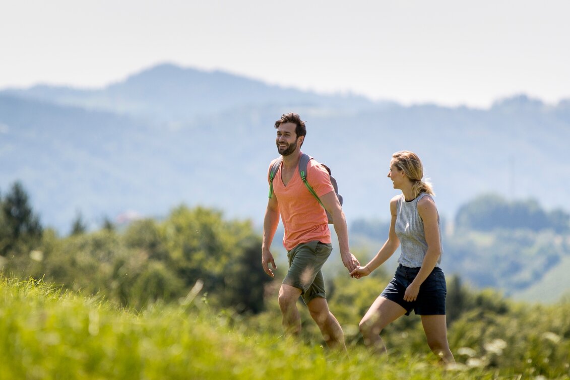 Hiking route St. Andrä - Höcher Round No. 21 Variant a - Touren-Impression #1 | © Südsteiermark