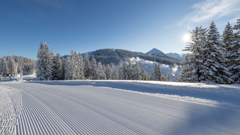Ski Touring Ski tour Planai - Touren-Impression #2.6 | © Planai