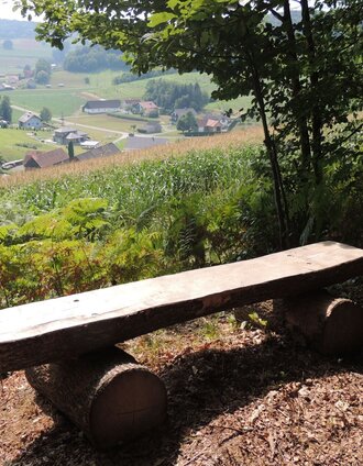 Bankerl am Ludersdorfer Bankerlweg | Weber Peter | © Privat