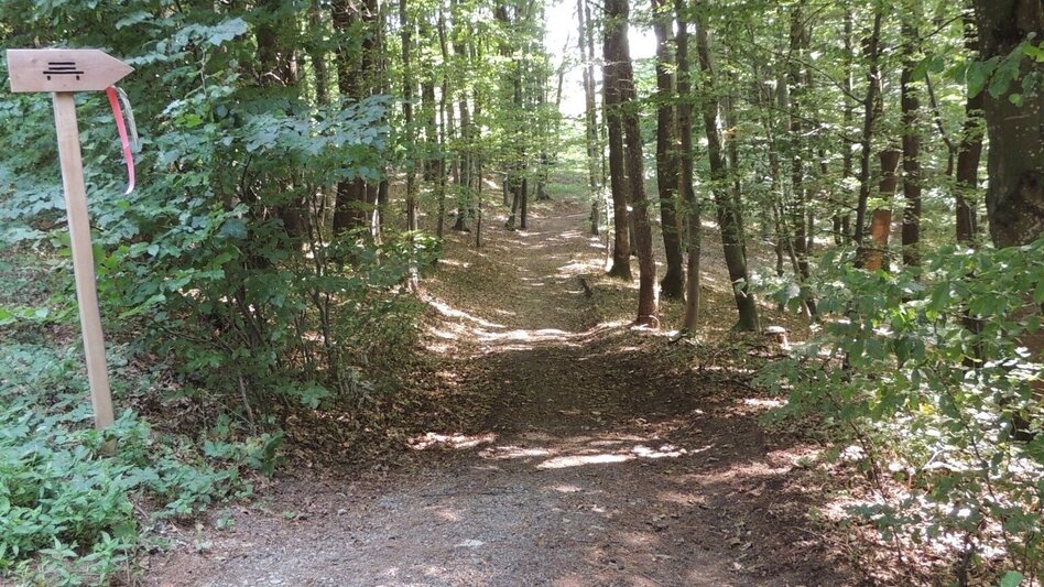 Hiking route Ludersdorf banker's path (Ludersdorfer Bankerlweg) - Touren-Impression #2.13 | © Privat