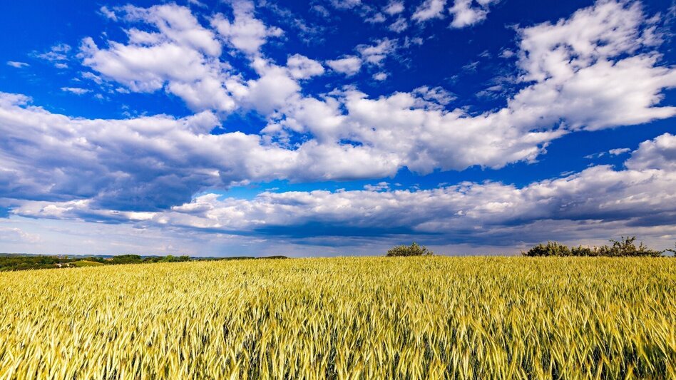 Radfahren Schöcklland Tour - Touren-Impression #2.5 | © Region Graz