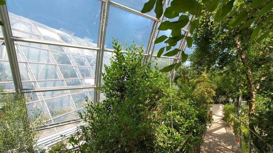 Radfahren Schöcklland Tour - Touren-Impression #2.2 | © Region Graz