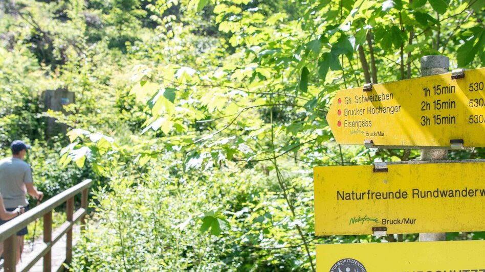 Nordic Walking Lauf- und Walkingstrecke im Weitental (schwarze Route) - Touren-Impression #2.6 | © Hochsteiermark